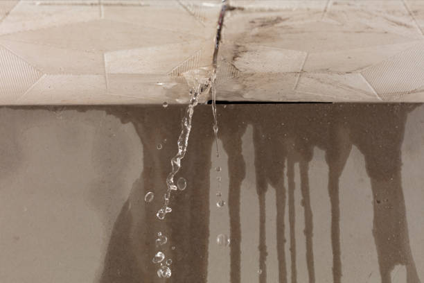 Professional Water Damage Repair technician working in Lore City, OH